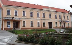 Hotel Jelen